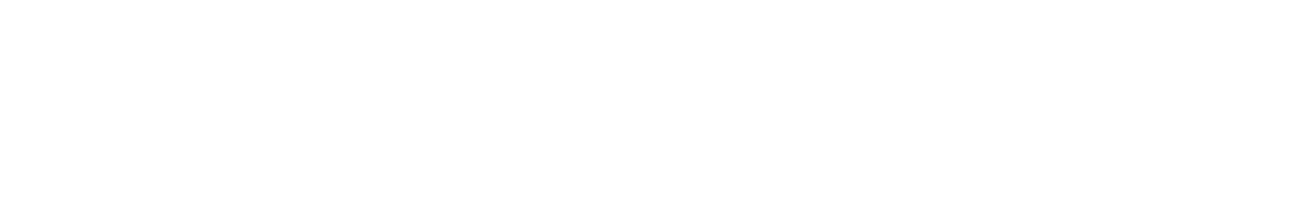 The Flint City Times